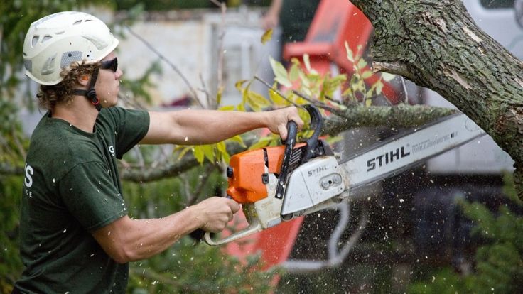 Tree care services