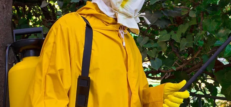 Pest Control Solutions