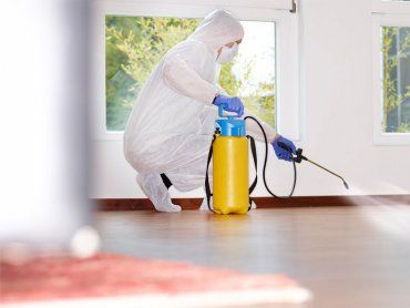 Pest Control Service Canada | Keeping Your Home Pest-Free