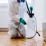 Best Pest Control Near Me