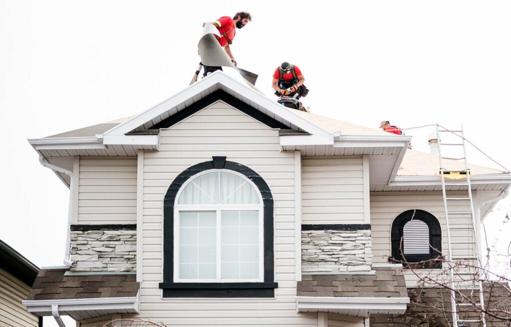 roofing contractor